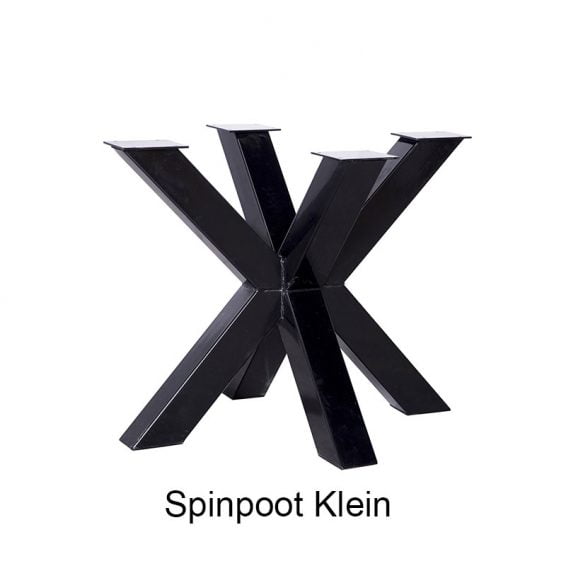 Spin-poot Klein